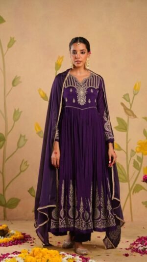 Tissue Anarkali With Zari Work